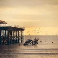 Profile of Priya Singh