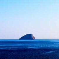 Profile of Dr. Sameer Malhotra